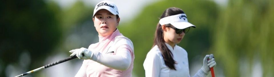 img, zVOPT, src img, zVOPT, src